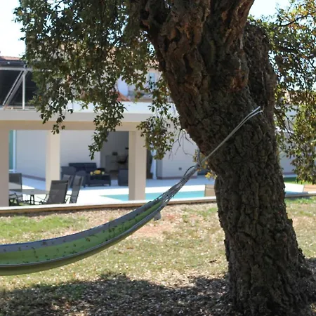 Stunning Modern Monte Vernal In